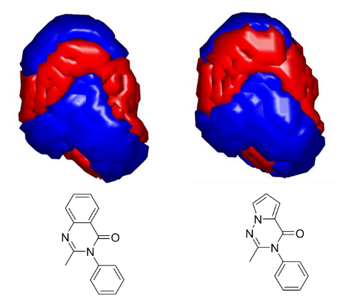 喹唑啉酮与吡咯并三嗪酮的静电表面比较