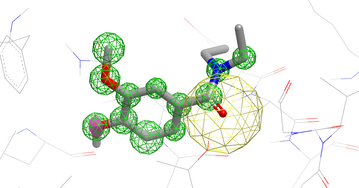 Ligand Compared to apo Binding Site
