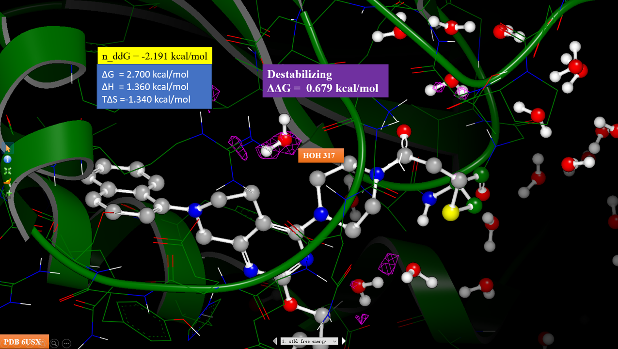 图12. 化合物7-KRAS复合物结构(PDB 6USZ)的稳定化网格计算结果。紫色等值图：ΔΔG大于0.5kcal/mol区；黄色等值图：ΔΔG小于-0.5kcal/mol区。
