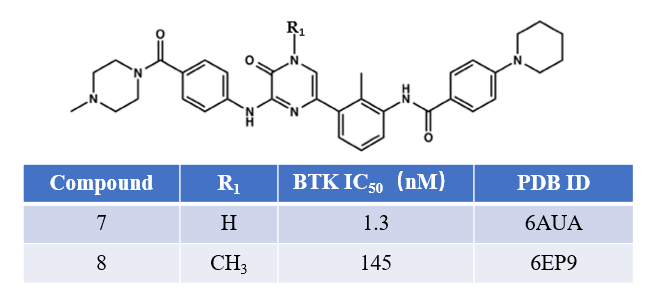 图8. BTK抑制剂化合物1与2的化学结构及其活性
